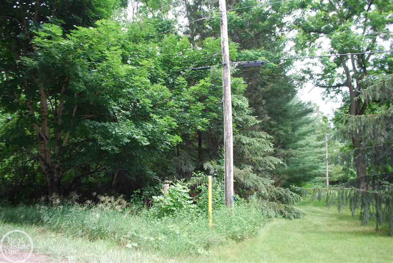 0 Powell Road Washington, MI 48095 - Photo 6 of 9