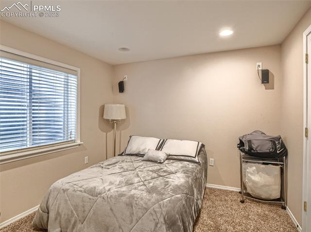 219 Talus Road Monument, CO 80132 - Photo 18 of 25 Basement bedroom