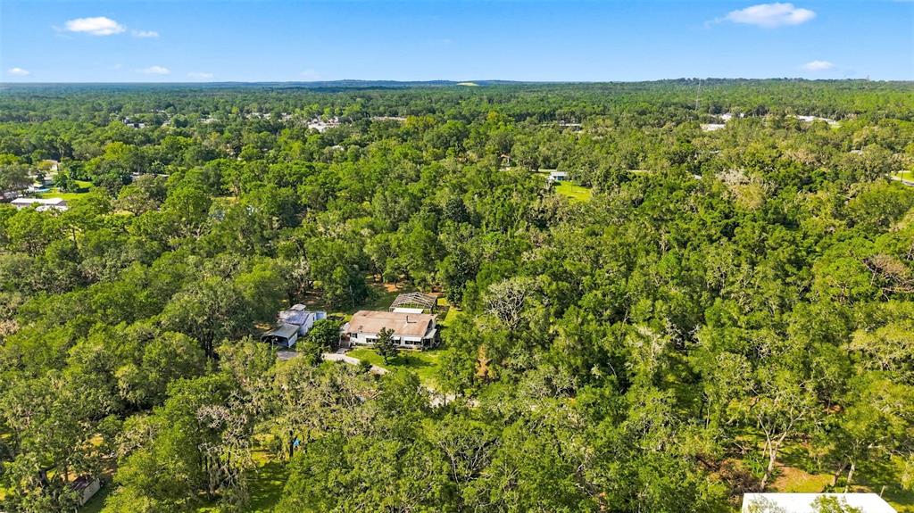 16179 Wiscon Road Brooksville, FL 34601 - Photo 45 of 50 Gallery Image 45