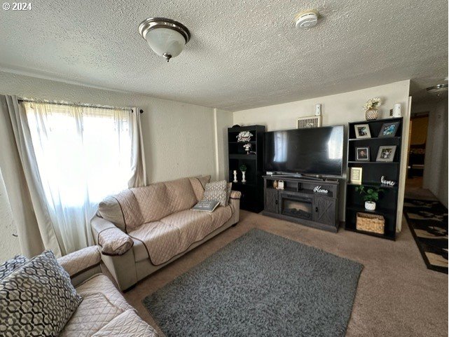 1931 Santiam Road Southeast Albany, OR 97321 - Photo 11 of 44 Family Room