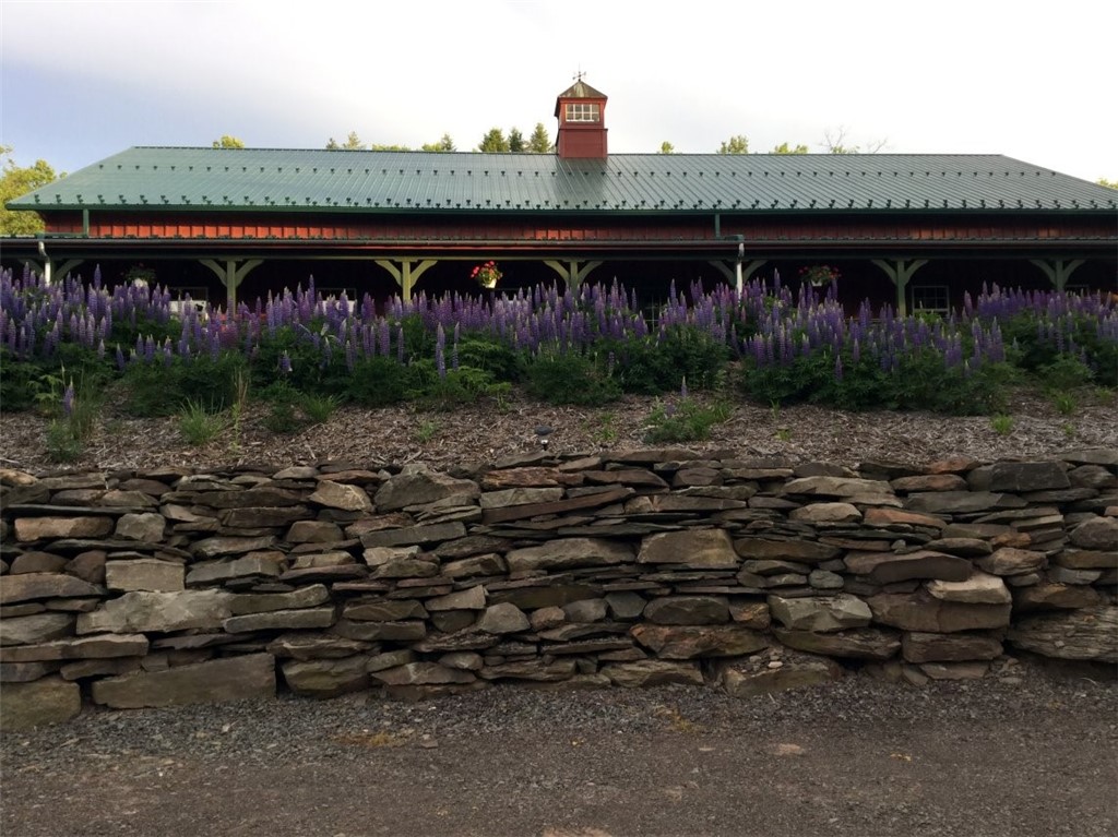 304 Sutherland Road East Meredith, NY 13757 - Photo 2 of 50