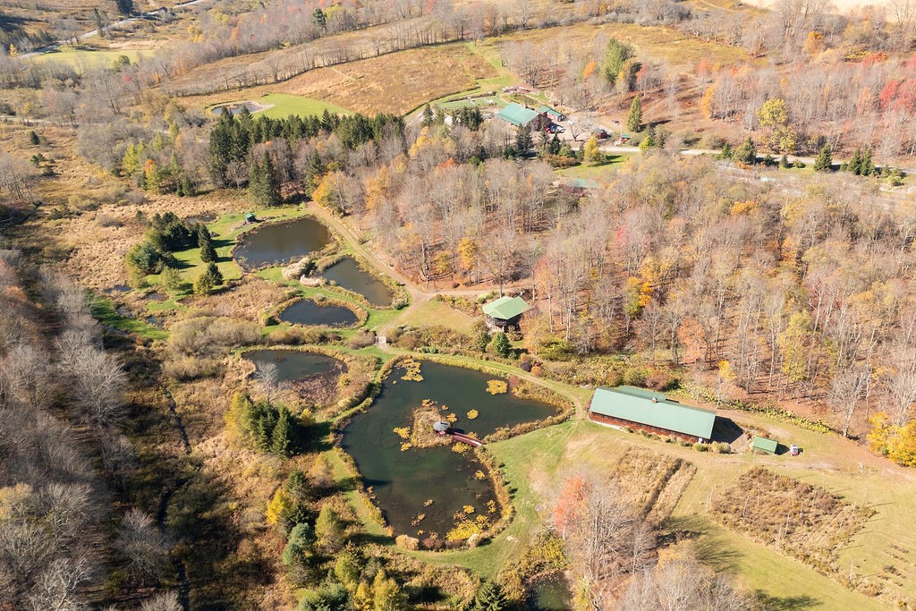 304 Sutherland Road East Meredith, NY 13757 - Photo 29 of 50