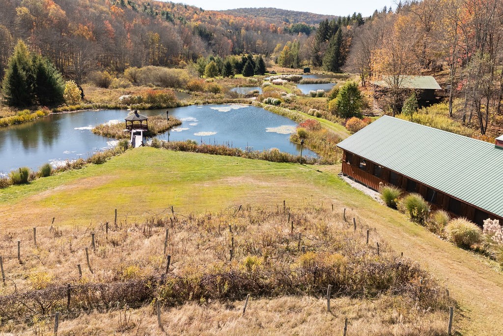 304 Sutherland Road East Meredith, NY 13757 - Photo 41 of 50