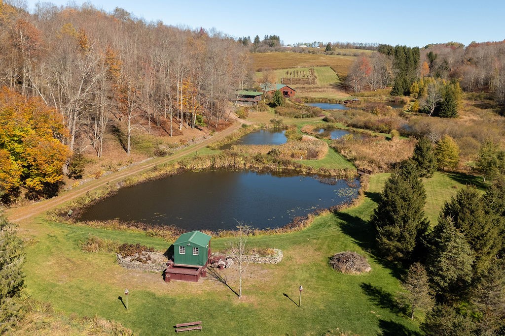 304 Sutherland Road East Meredith, NY 13757 - Photo 42 of 50