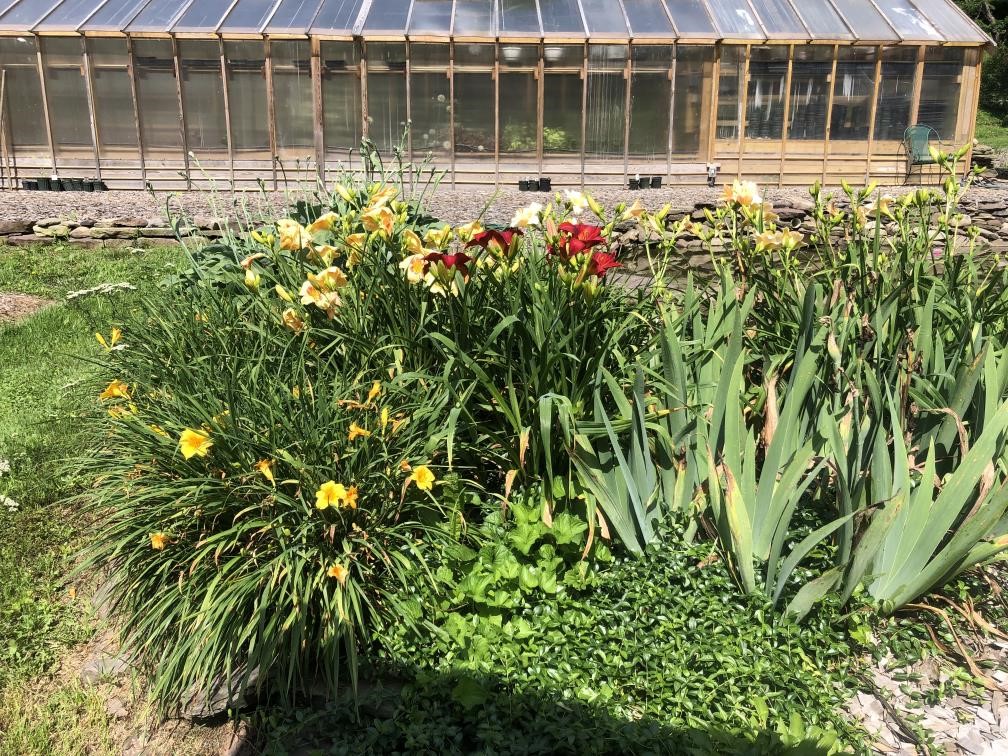 304 Sutherland Road East Meredith, NY 13757 - Photo 49 of 50