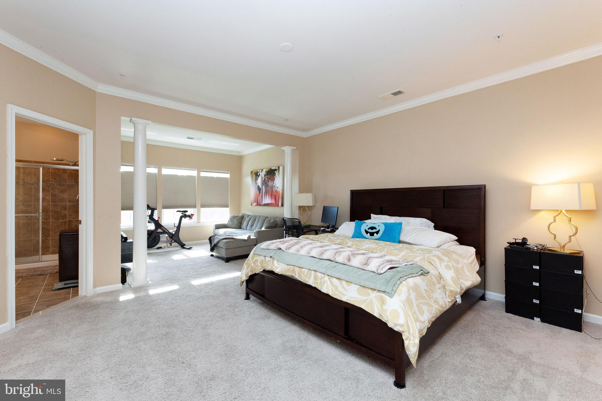 3323 Tianna Way Accokeek, MD 20607 - Photo 32 of 52 Owner's bedroom with sitting area
