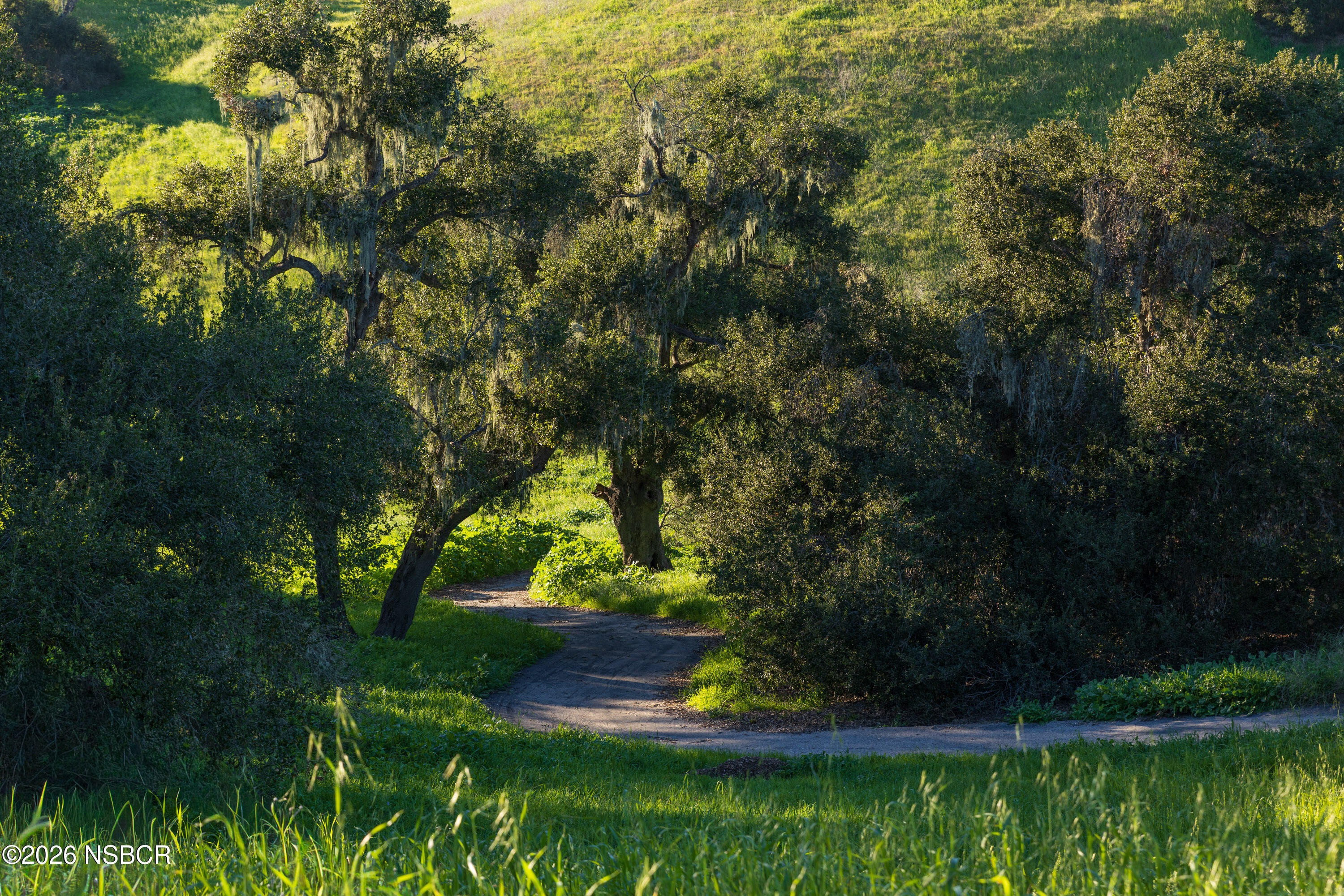 2865 North Refugio Road Santa Ynez, CA 93460 - Photo 29 of 39 2865 N Refugio Web-23