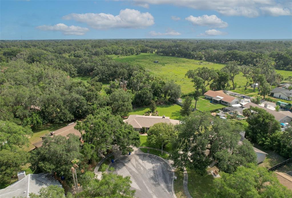 2102 Whitlock Place Dover, FL 33527 - Photo 45 of 45