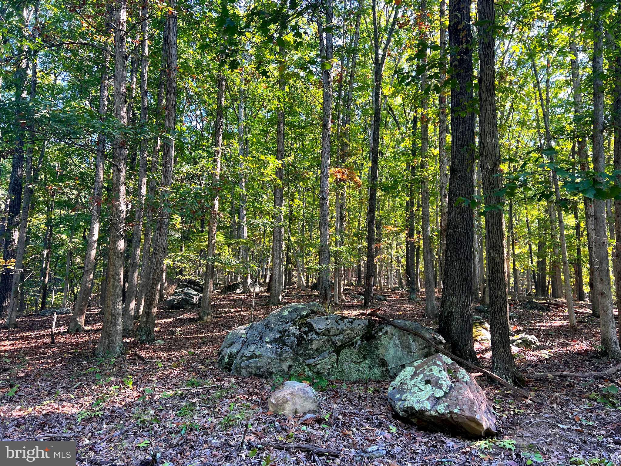 1604 High Knob Road Old Fields, WV 26845 - Photo 80 of 113
