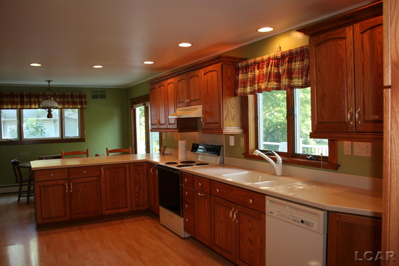 7348 Riga Highway Riga, MI 49276 - Photo 11 of 54