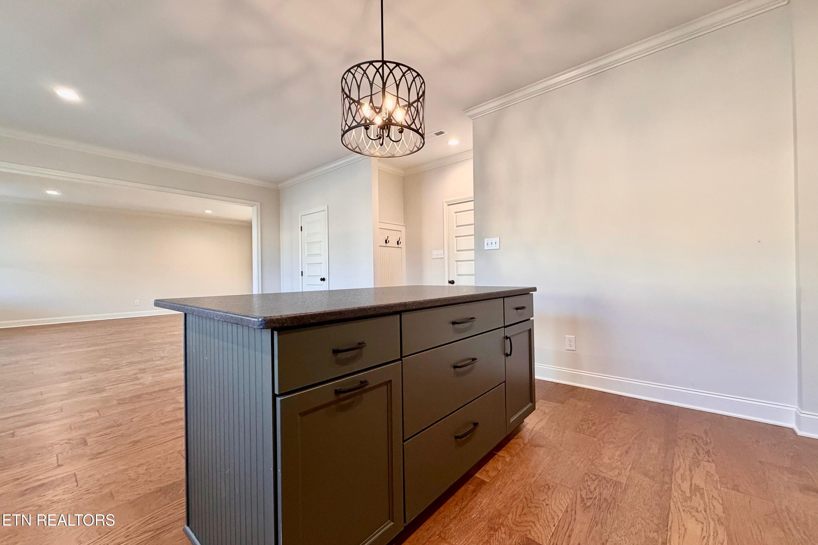 1171 Madison Oaks Road Knoxville, TN 37924 - Photo 12 of 30 image0 2