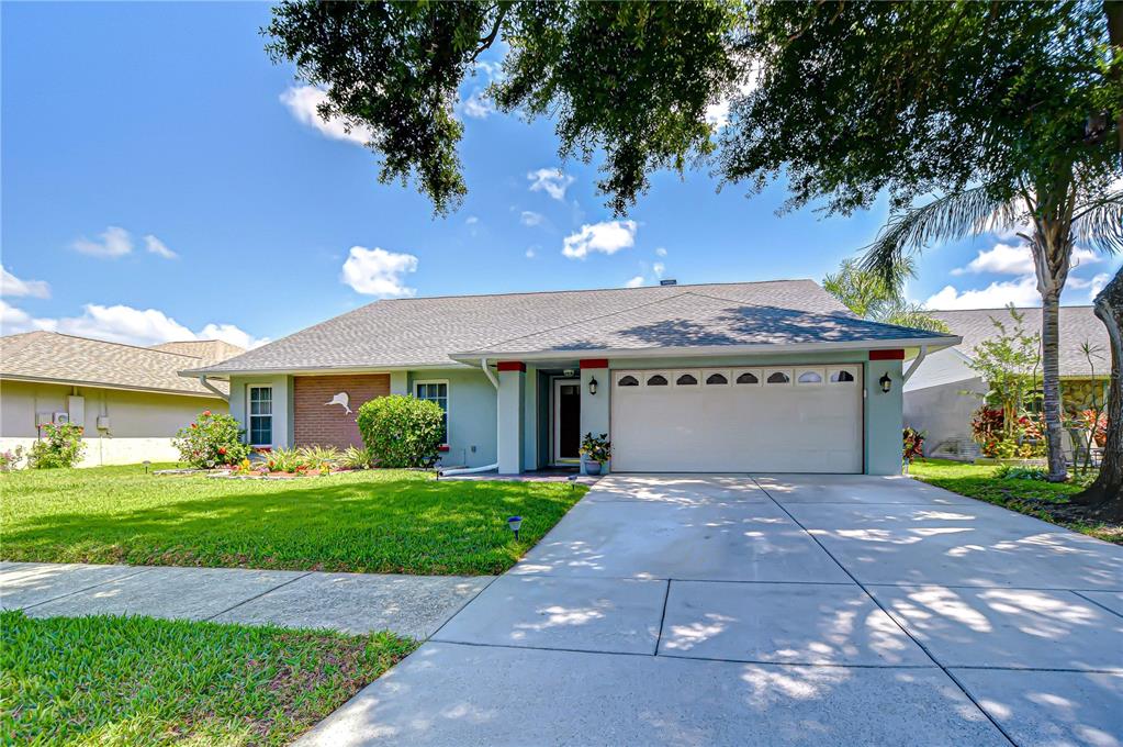 1428 Shell Flower Drive Brandon, FL 33511 - Photo 1 of 1 a view of a house with a yard and a large tree