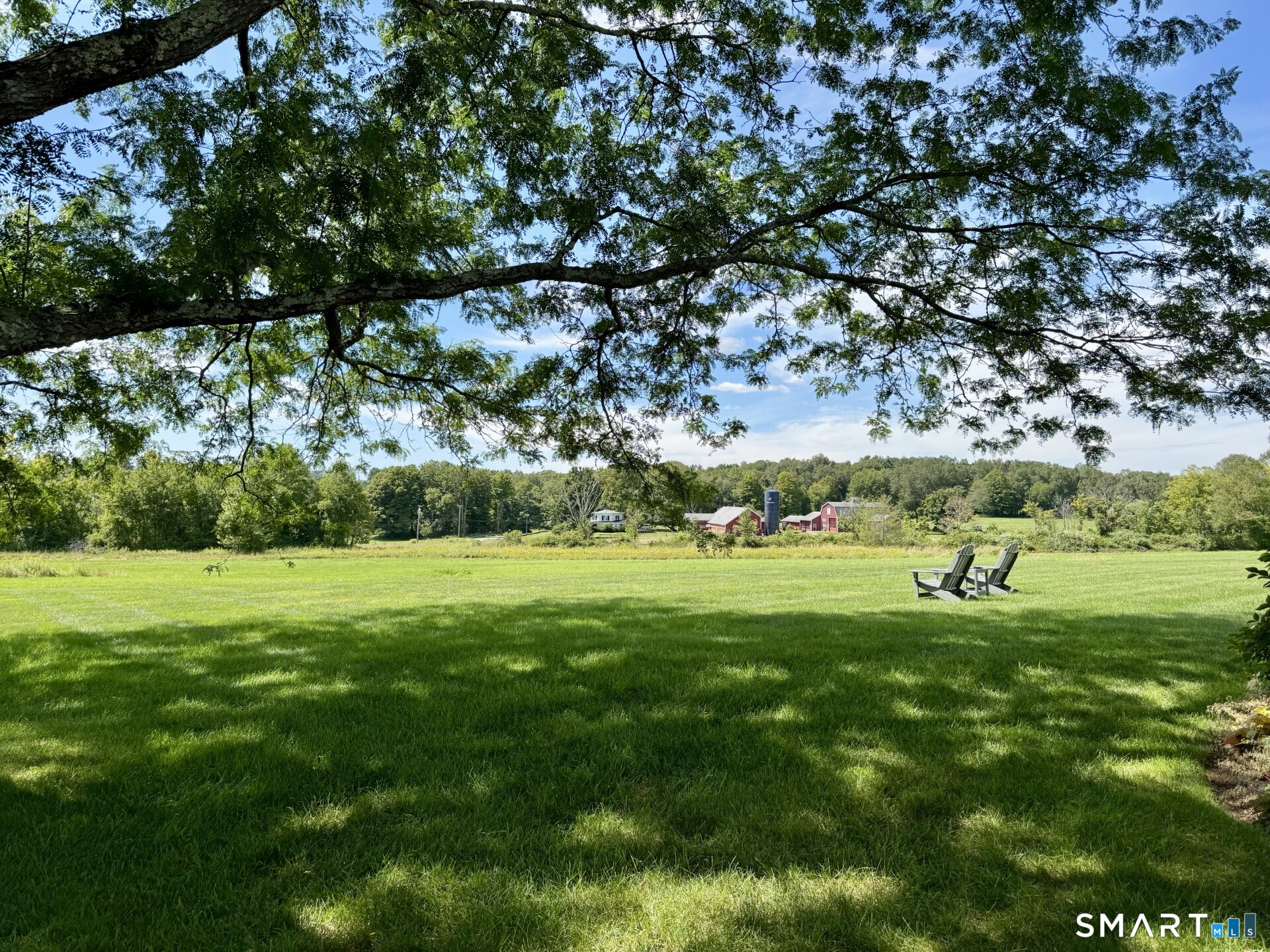 79 East Street Washington, CT 06793 - Photo 36 of 40 a view of field with tall trees