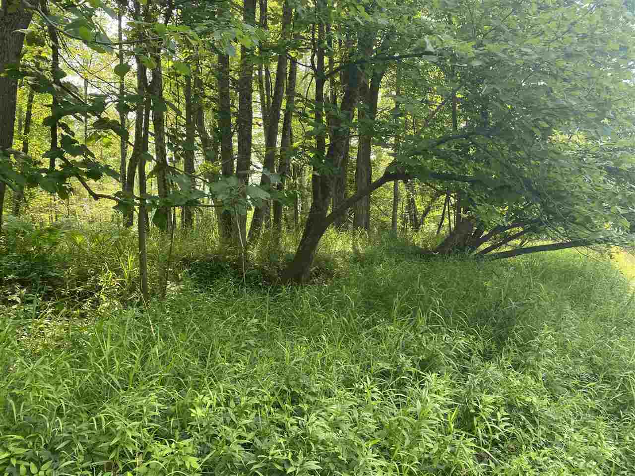 0 Briggs Road Omer, MI 48749 - Photo 23 of 45
