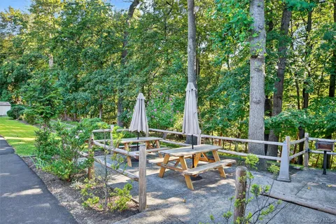 a view of a yard with plants and trees