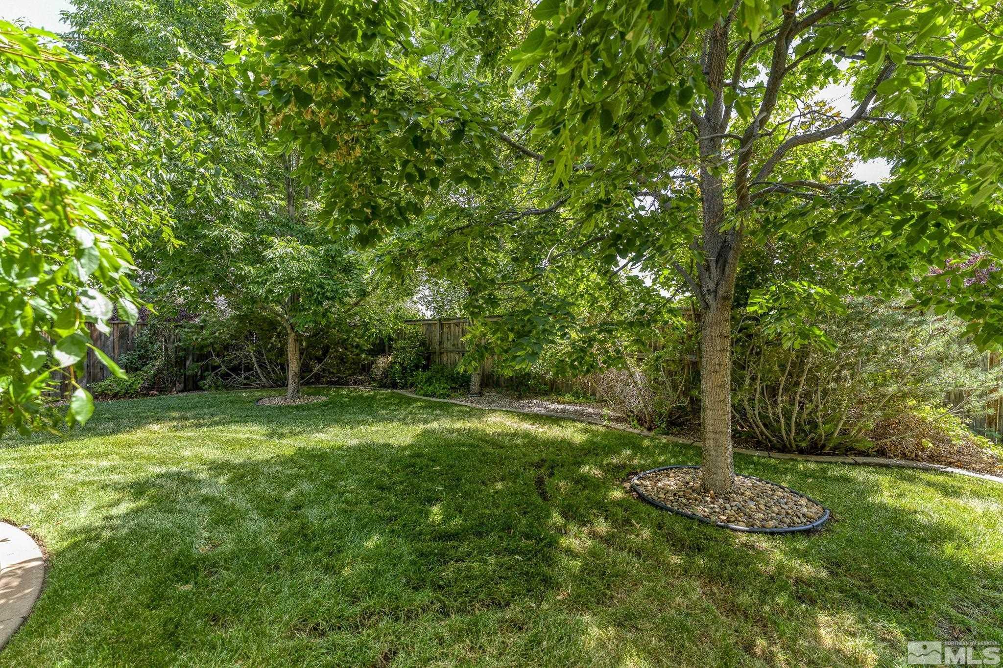 10080 Goler Wash Court Reno, NV 89521 - Photo 30 of 40 a view of a backyard with large trees