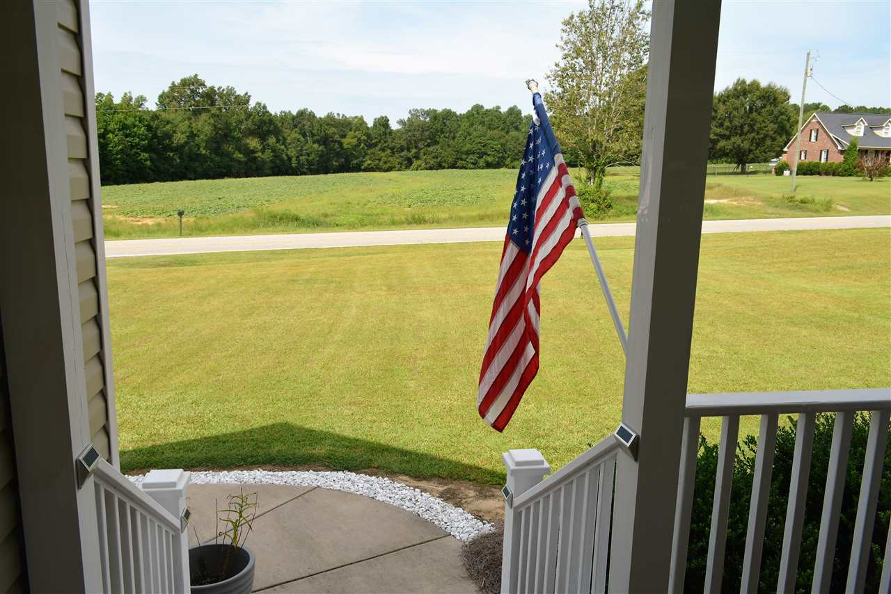 505 Chisenhall Road Angier, NC 27501 - Photo 22 of 30 Awesome views from the front porch