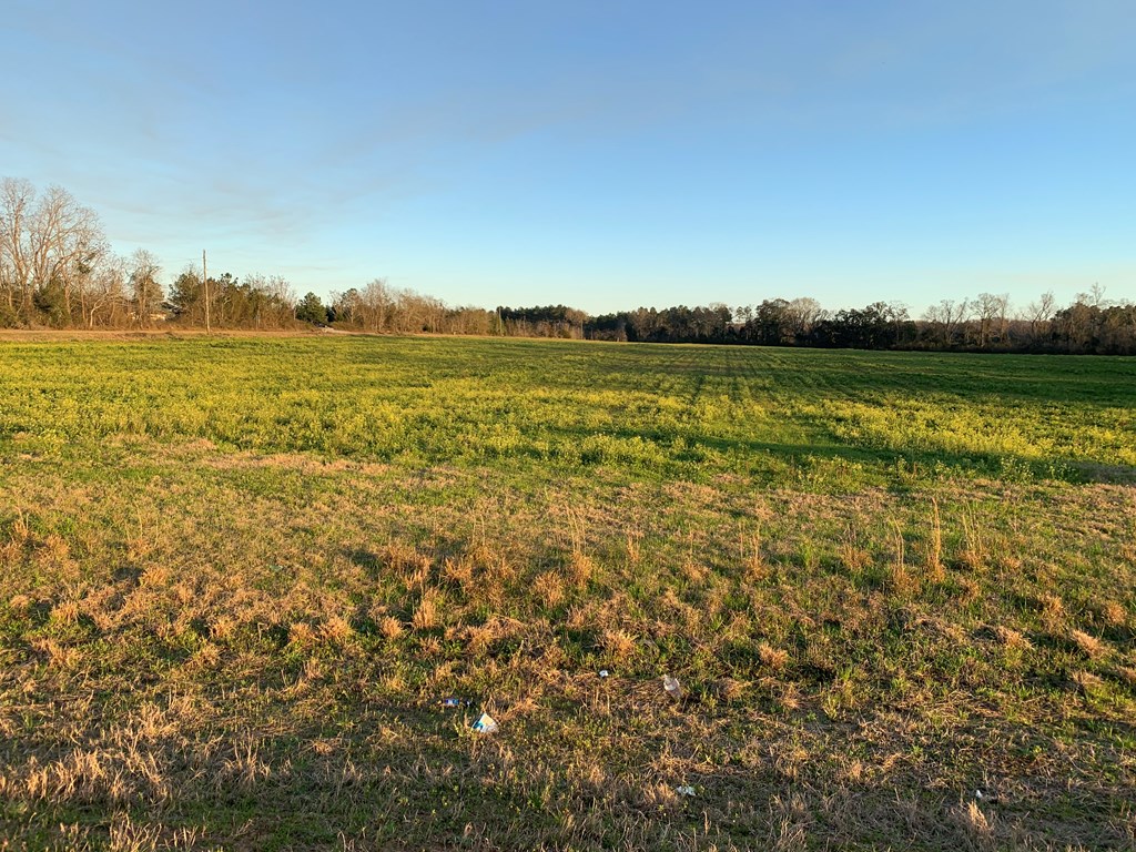 0 South Rambo Mill Road Cottonwood, AL 36320 - Photo 8 of 18