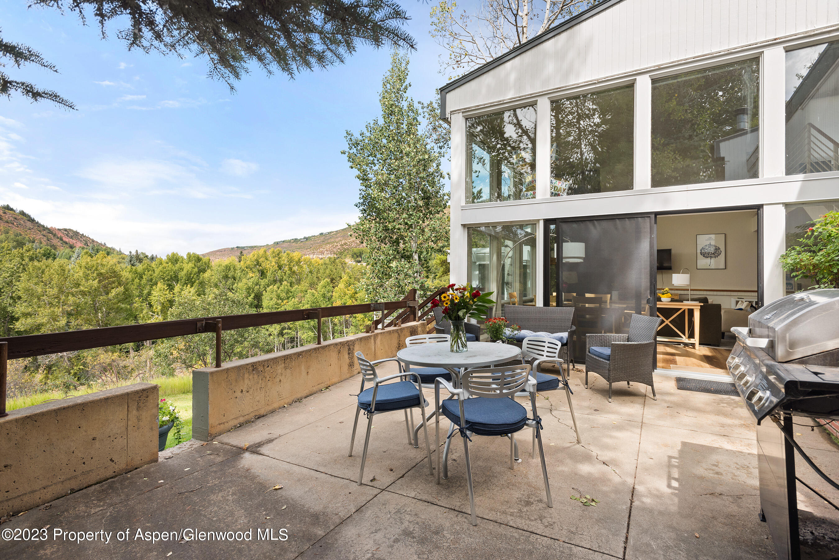 81 Meadows Trustee Road Aspen, CO 81611 - Photo 11 of 26 a view of a chairs and table in patio with a yard