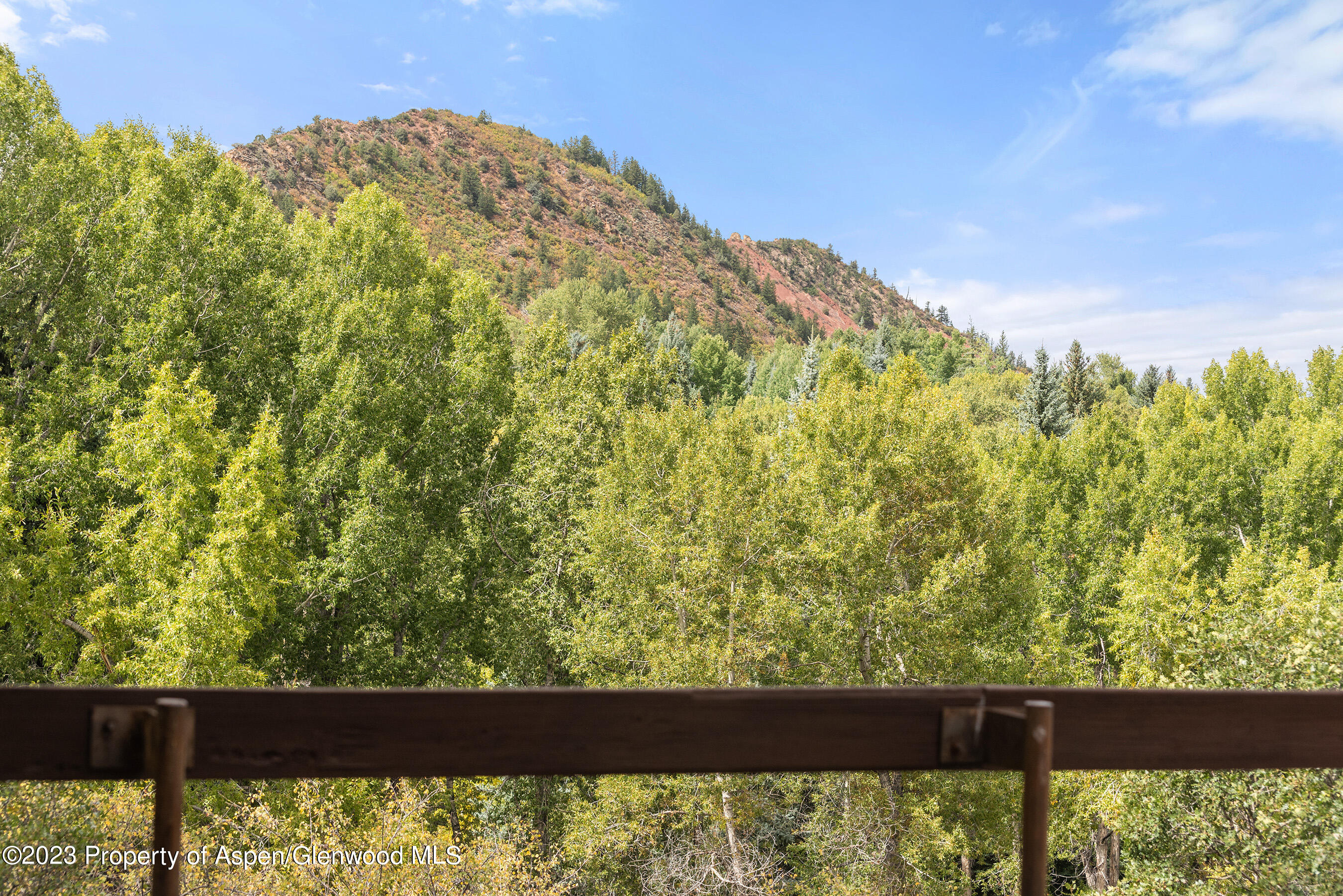 81 Meadows Trustee Road Aspen, CO 81611 - Photo 16 of 26