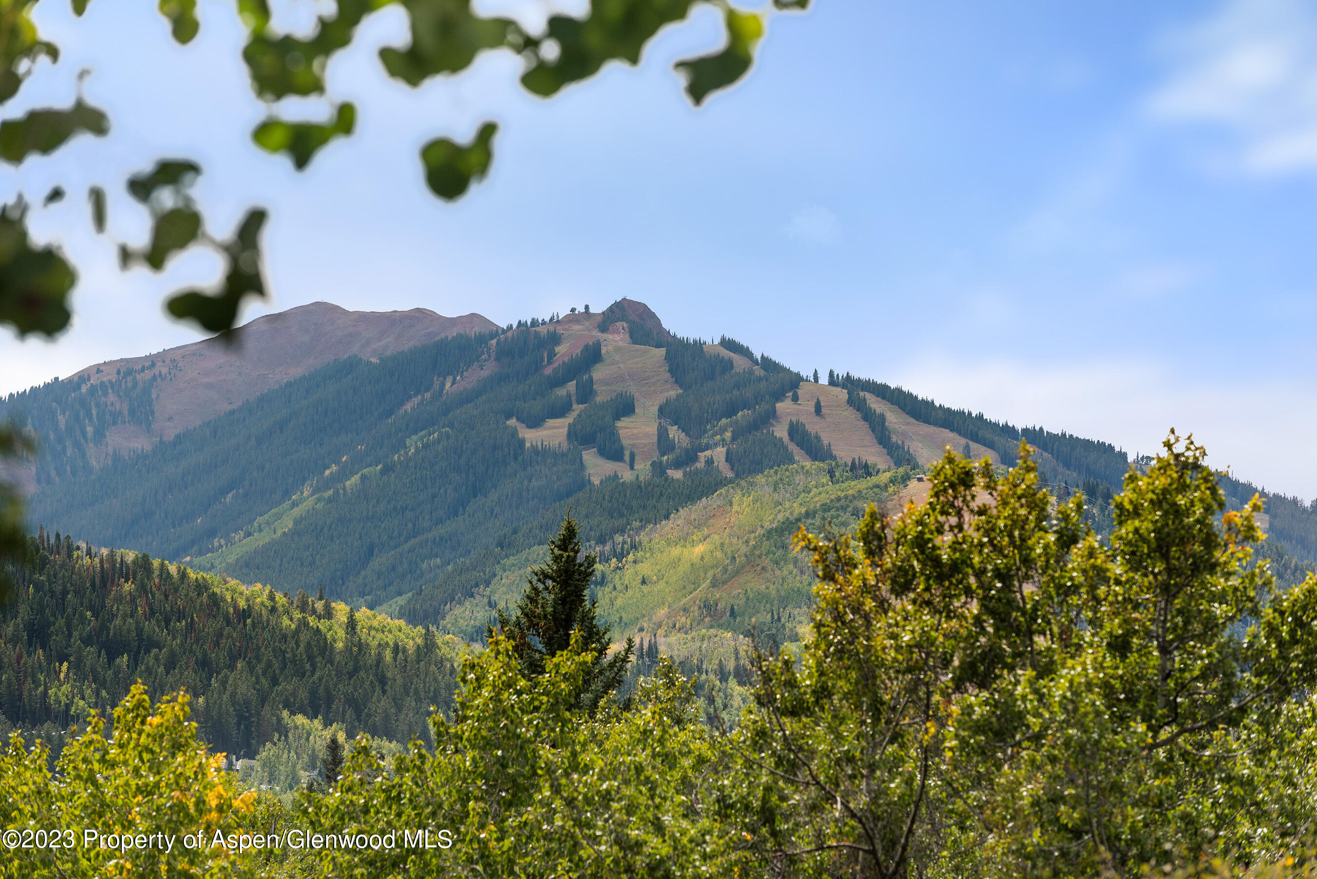 81 Meadows Trustee Road Aspen, CO 81611 - Photo 17 of 26 a view of a yard