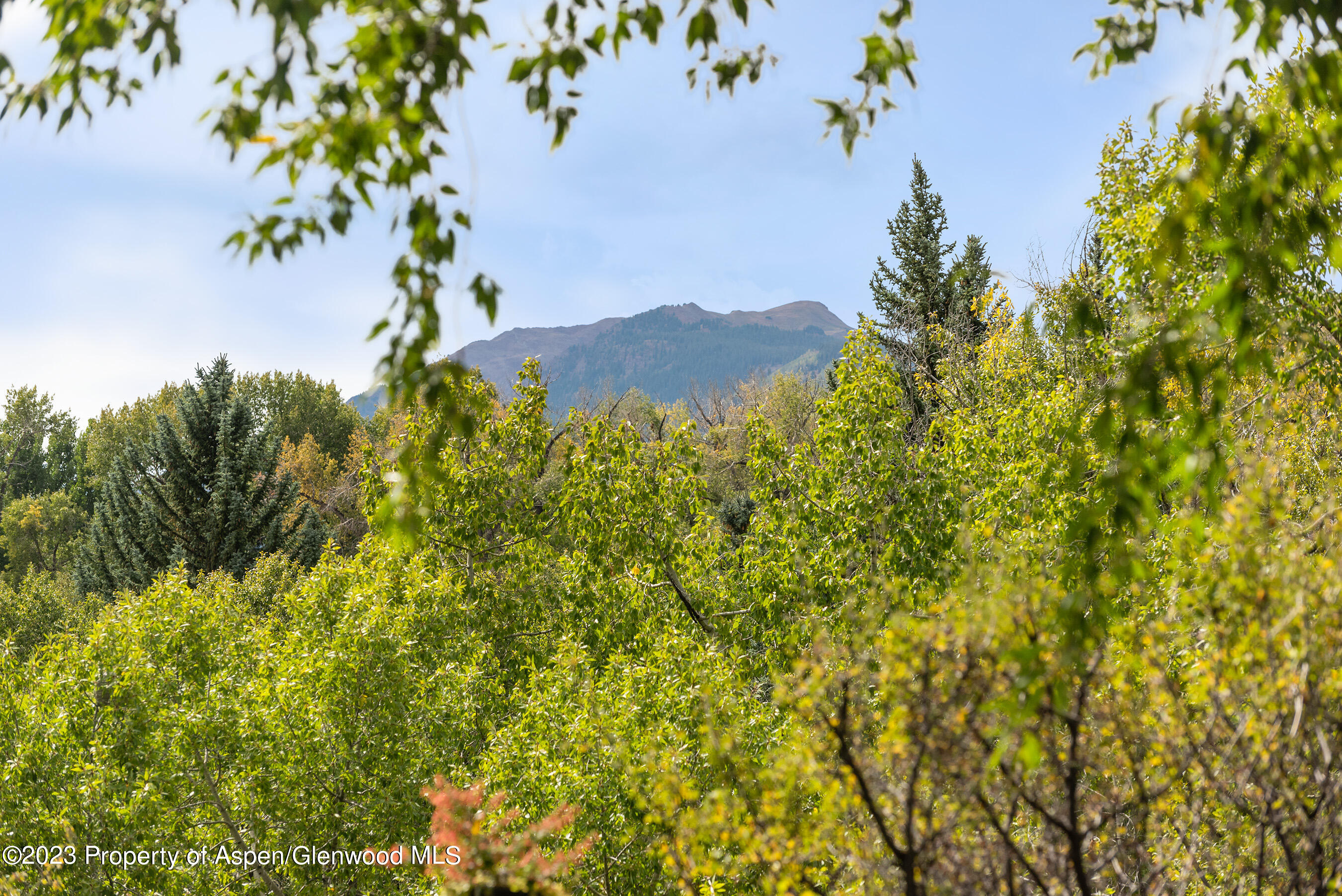 81 Meadows Trustee Road Aspen, CO 81611 - Photo 18 of 26 a view of a field