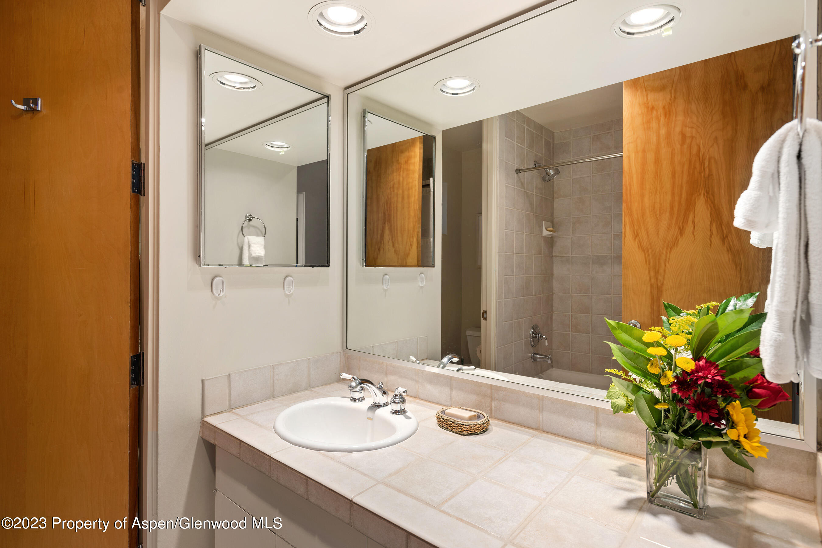 81 Meadows Trustee Road Aspen, CO 81611 - Photo 19 of 26 a bathroom with a sink vanity and a mirror