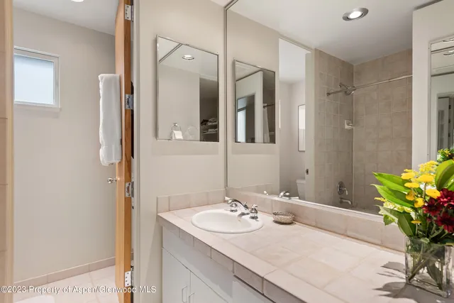 $13,000 | 81 Meadows Trustee Road, Aspen, CO 81611