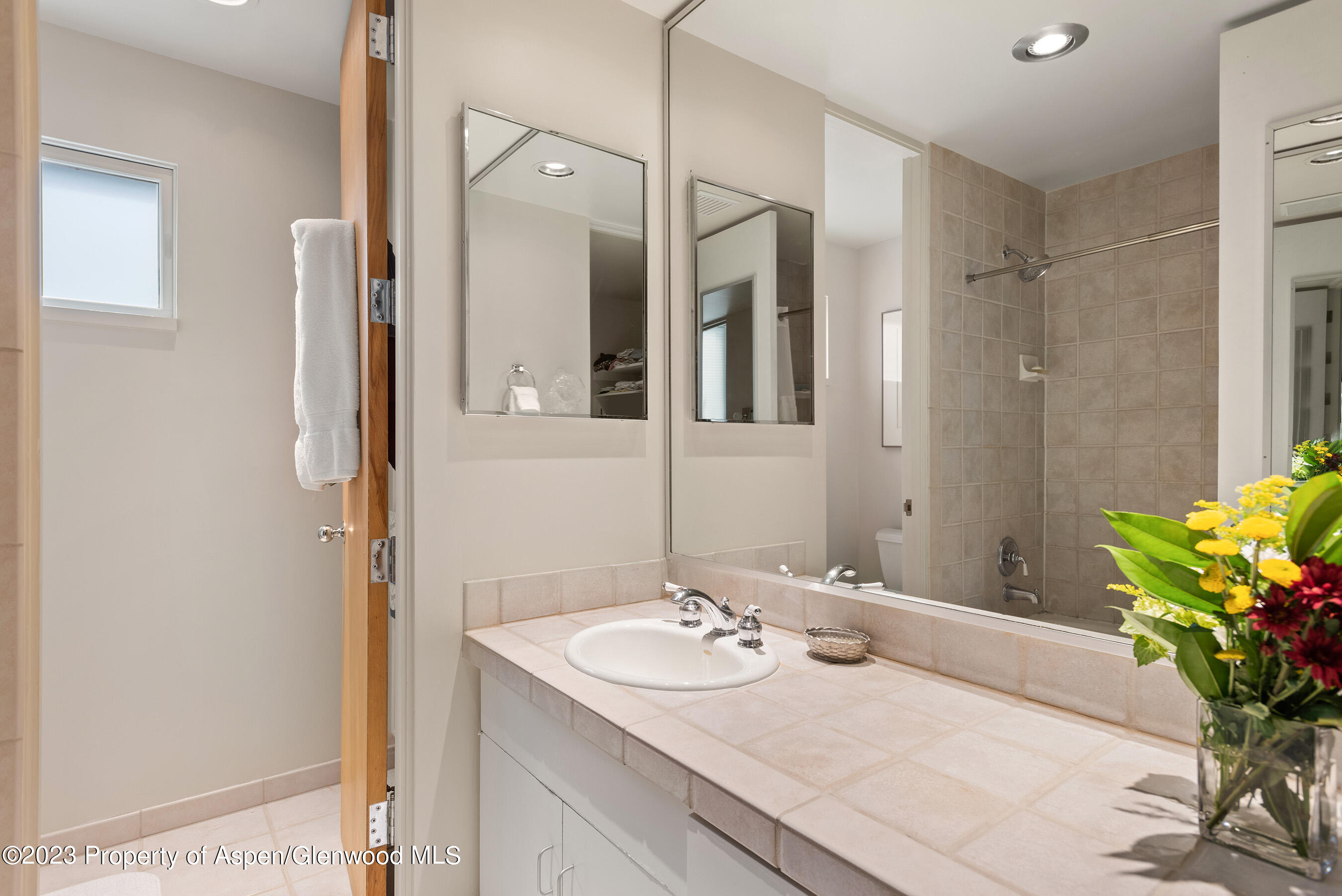 81 Meadows Trustee Road Aspen, CO 81611 - Photo 26 of 26 a bathroom with a sink a vanity and a mirror