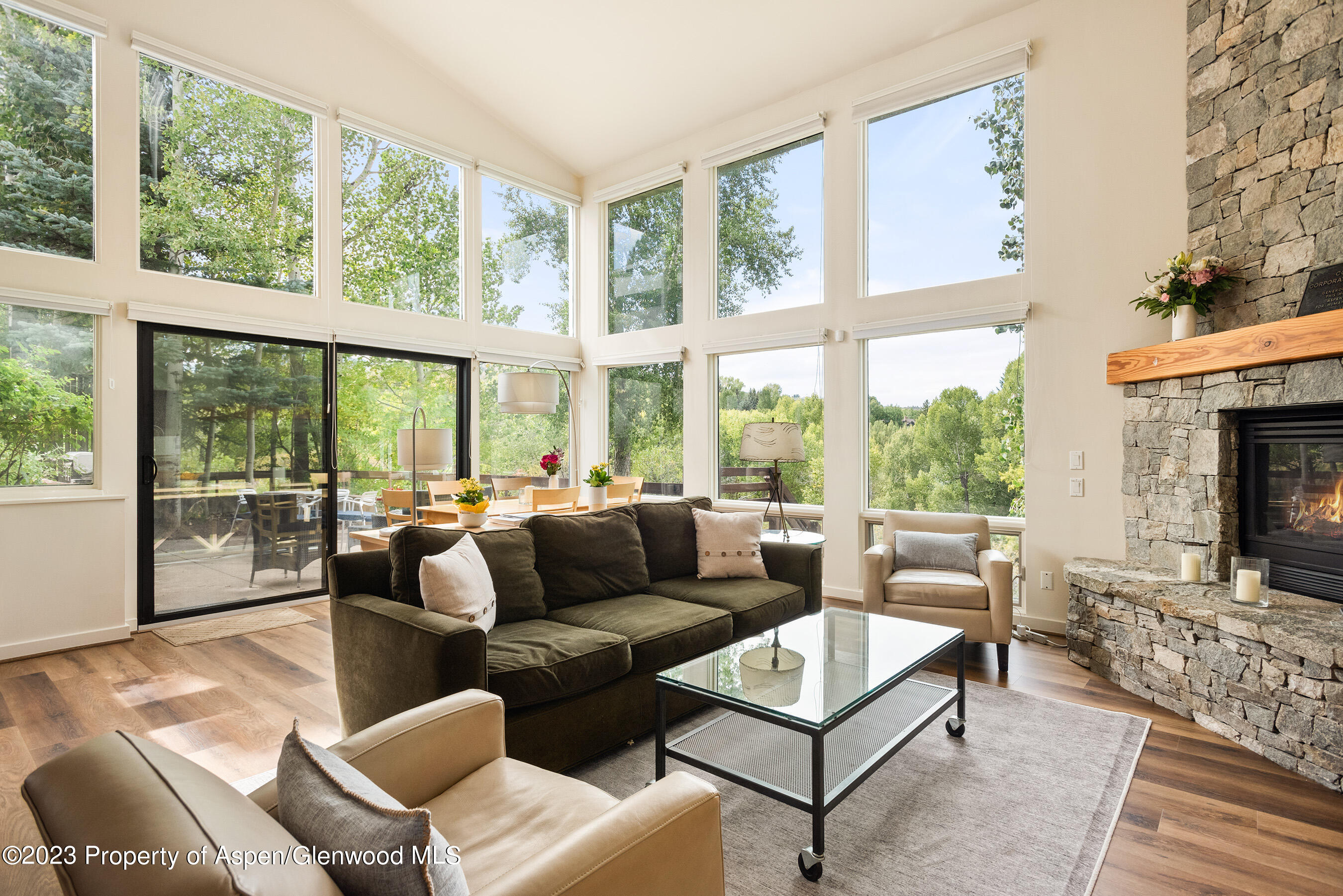 81 Meadows Trustee Road Aspen, CO 81611 - Photo 4 of 26 a living room with furniture and a large window
