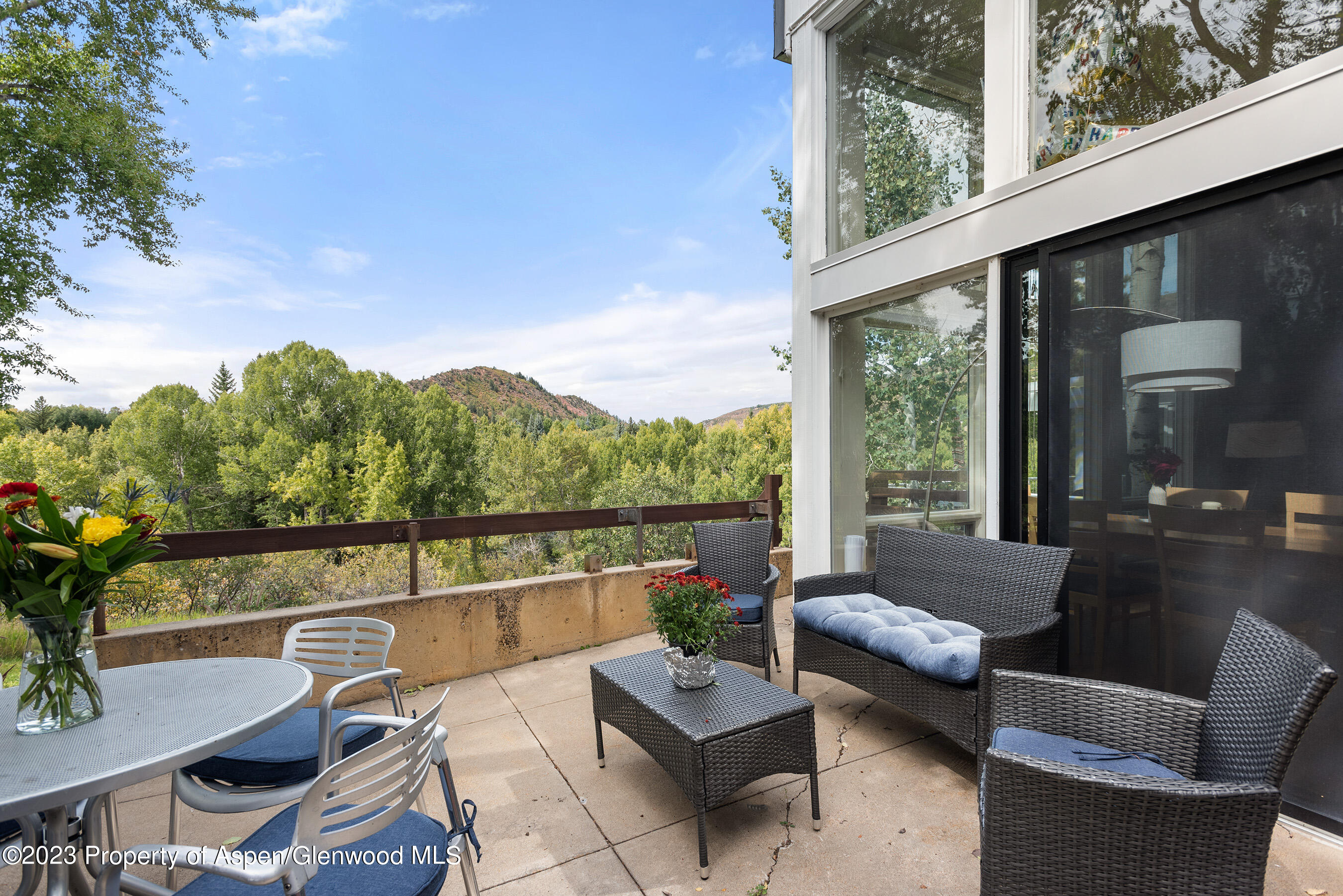 81 Meadows Trustee Road Aspen, CO 81611 - Photo 10 of 26 a view of a chairs and table in patio with a yard