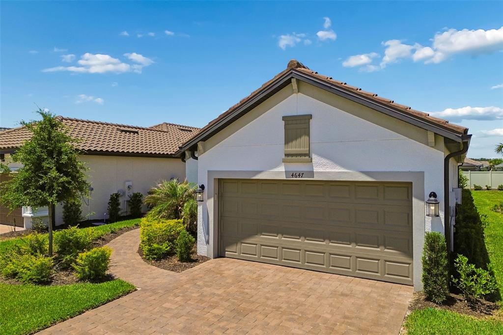 4647 Garofalo Road Wesley Chapel, FL 33543 - Photo 49 of 92