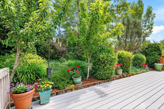 a view of a garden with flowers and flowers