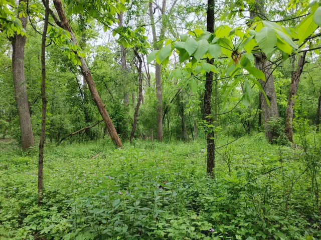 $149,900 | Lt4 Wisconsin Parkway, Delavan, WI 53115