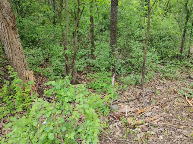 $149,900 | Lt4 Wisconsin Parkway, Delavan, WI 53115