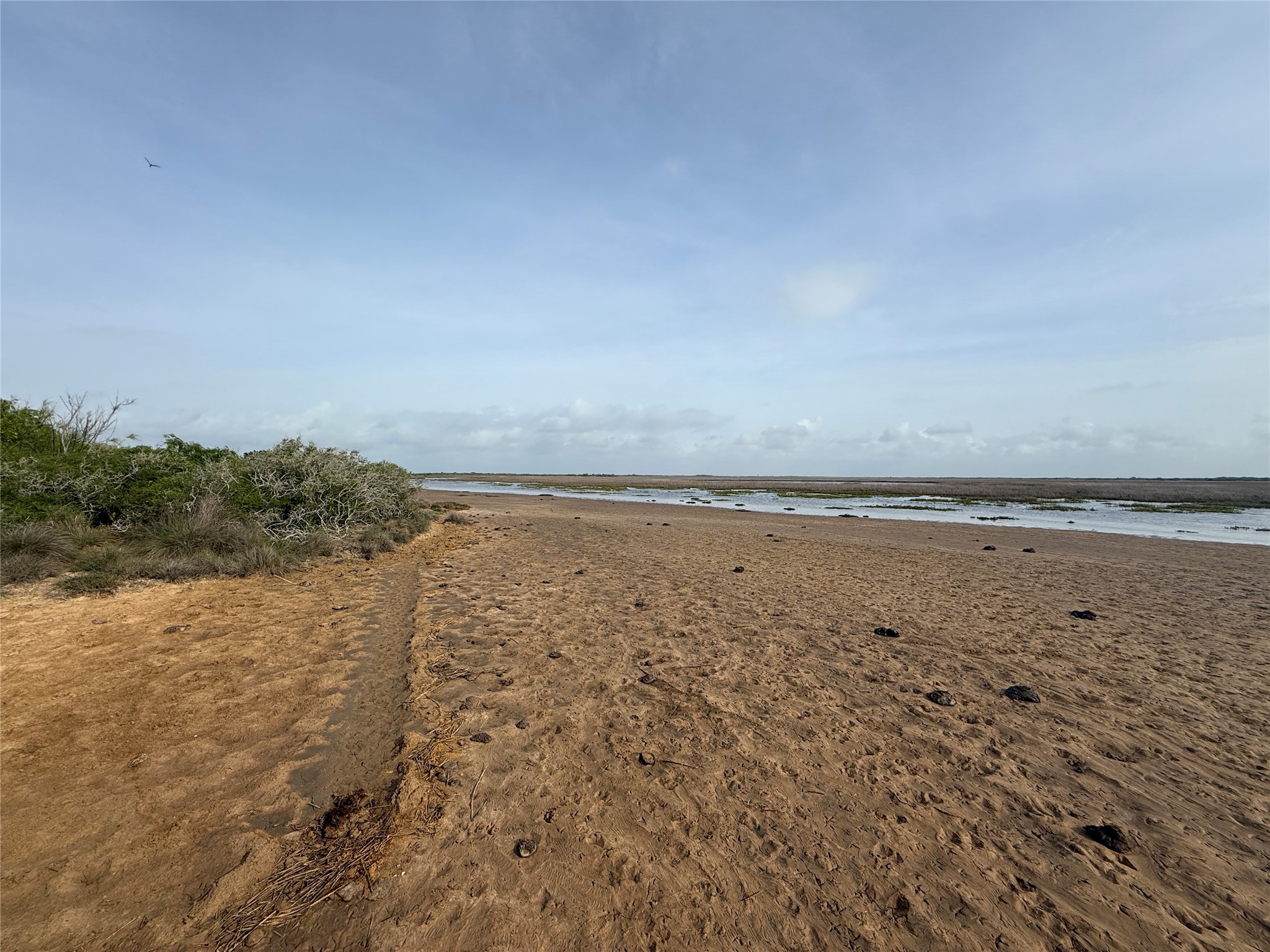259 South Gulf Road Matagorda, TX 77457 - Photo 4 of 10