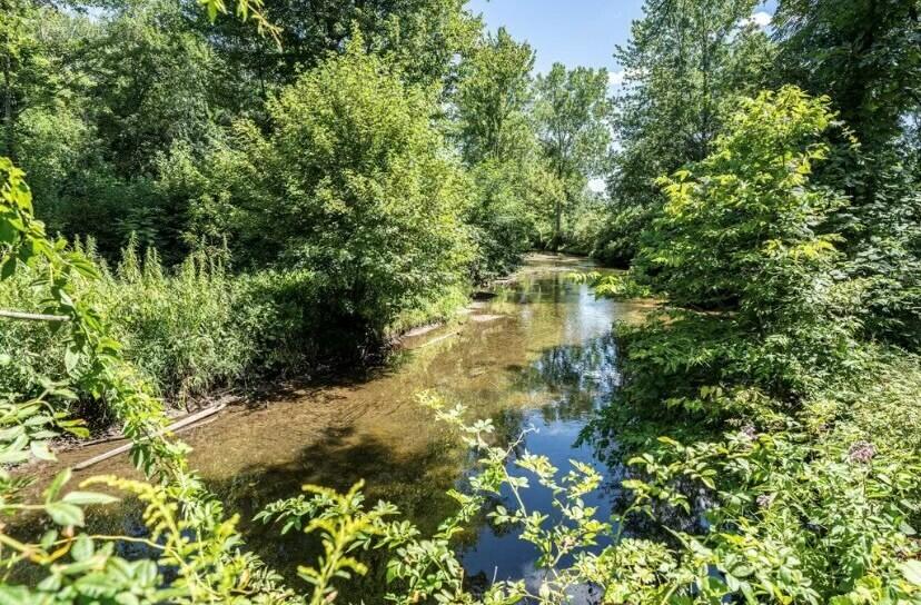 5524 Barber Road Hastings, MI 49058 - Photo 36 of 36 River 1