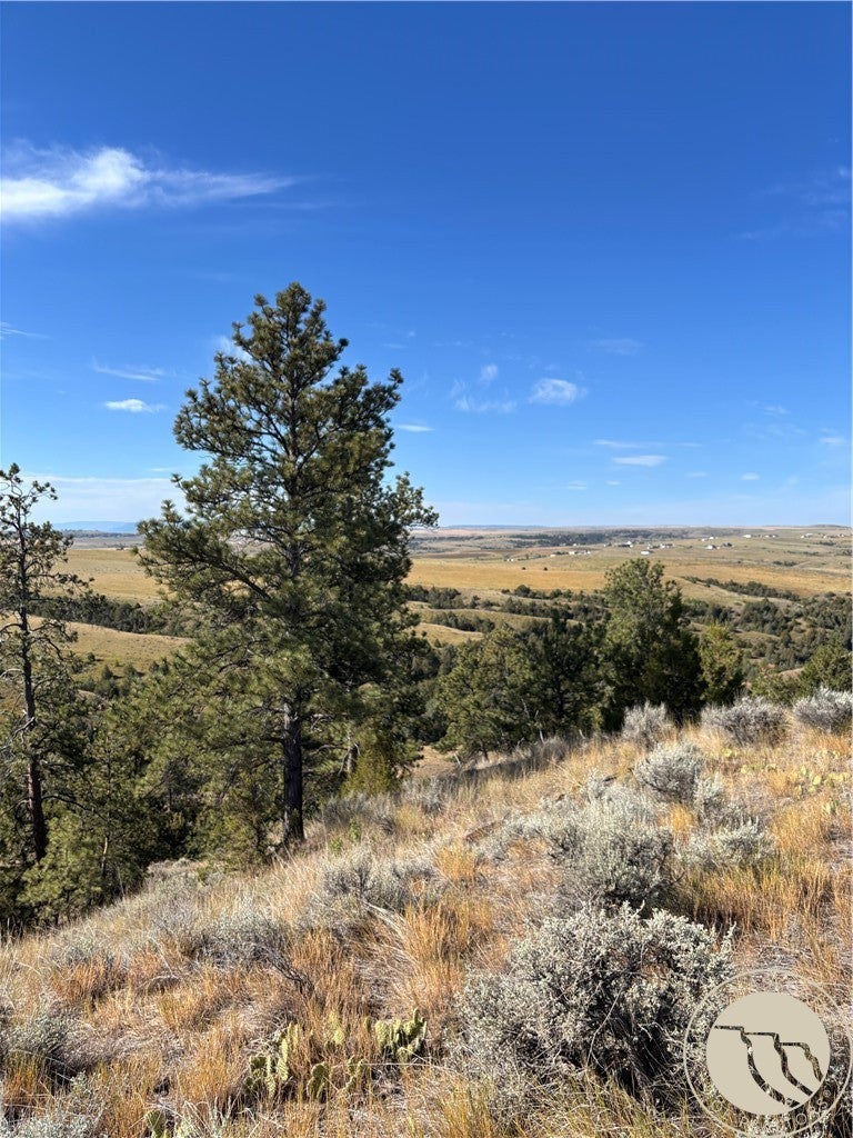 0 Coulee View Road Billings, MT 59101 - Photo 12 of 14 Gallery Image 12