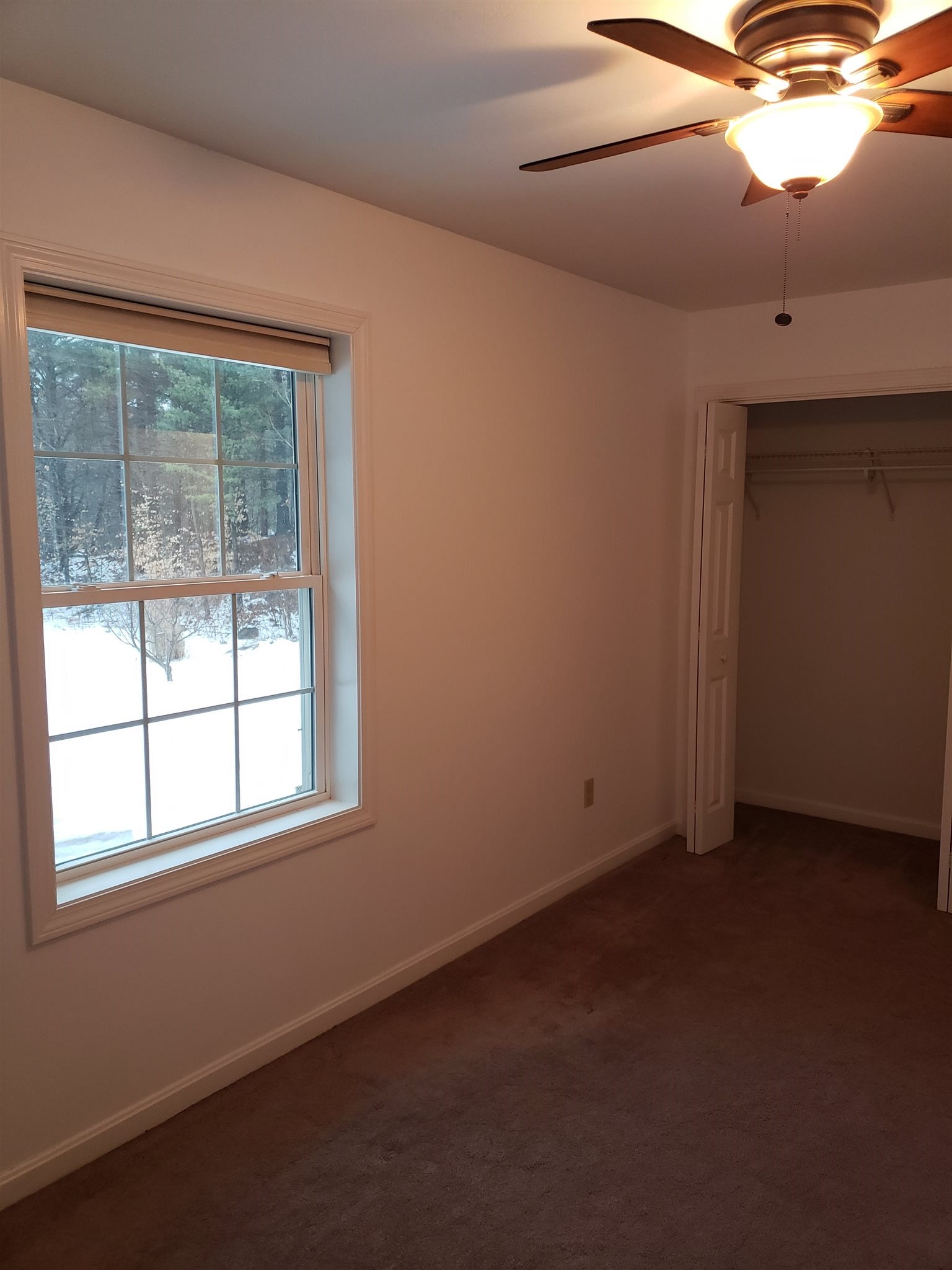 63 Pine River Road Effingham, NH 03882 - Photo 21 of 40 Gallery Image 21