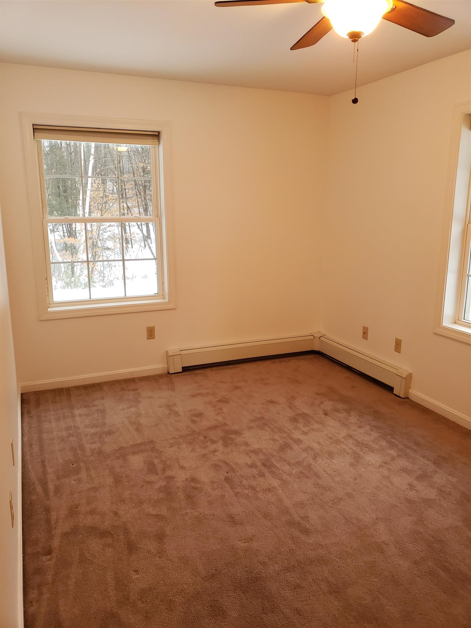 63 Pine River Road Effingham, NH 03882 - Photo 22 of 40 Gallery Image 22