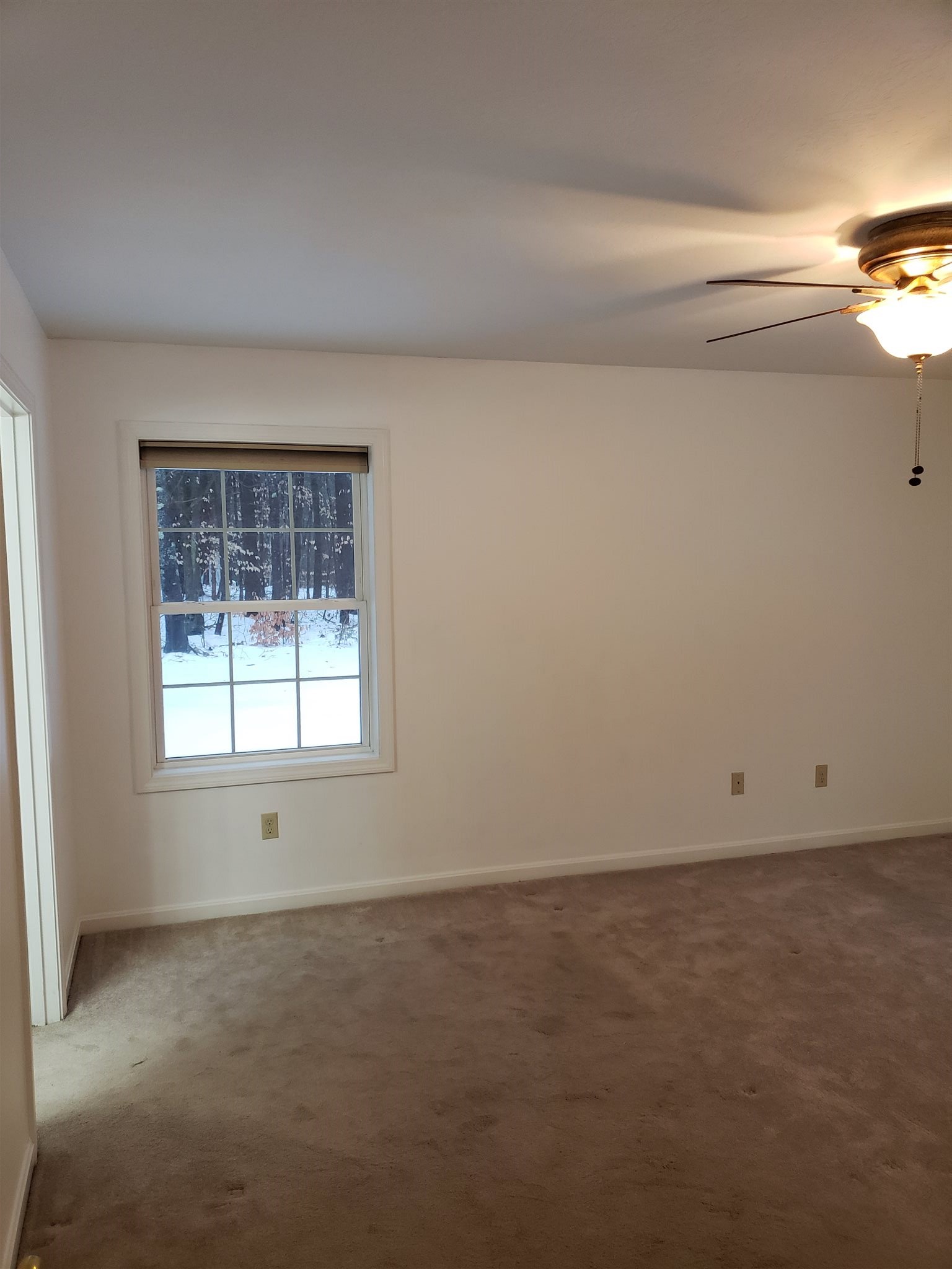 63 Pine River Road Effingham, NH 03882 - Photo 24 of 40 Gallery Image 24