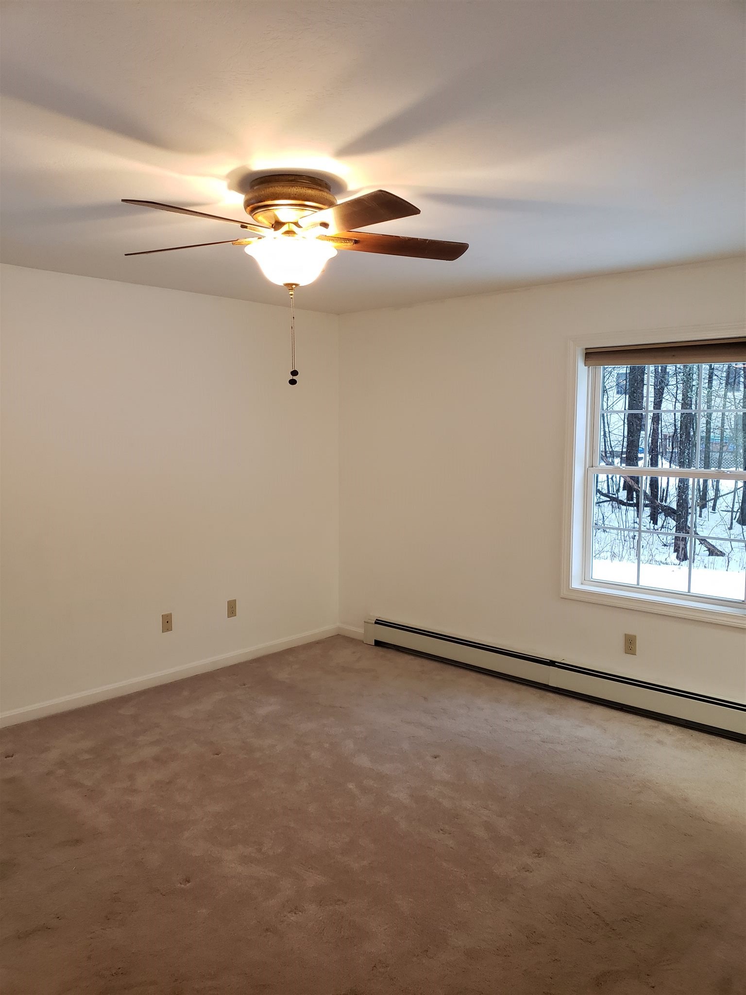 63 Pine River Road Effingham, NH 03882 - Photo 25 of 40 Gallery Image 25