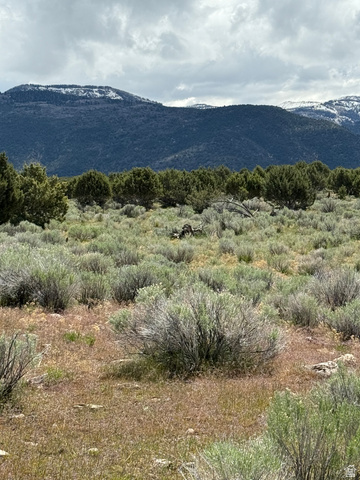 18 Old Highway 89, Unit 18 Spring City, UT 84662 - Photo 4 of 9