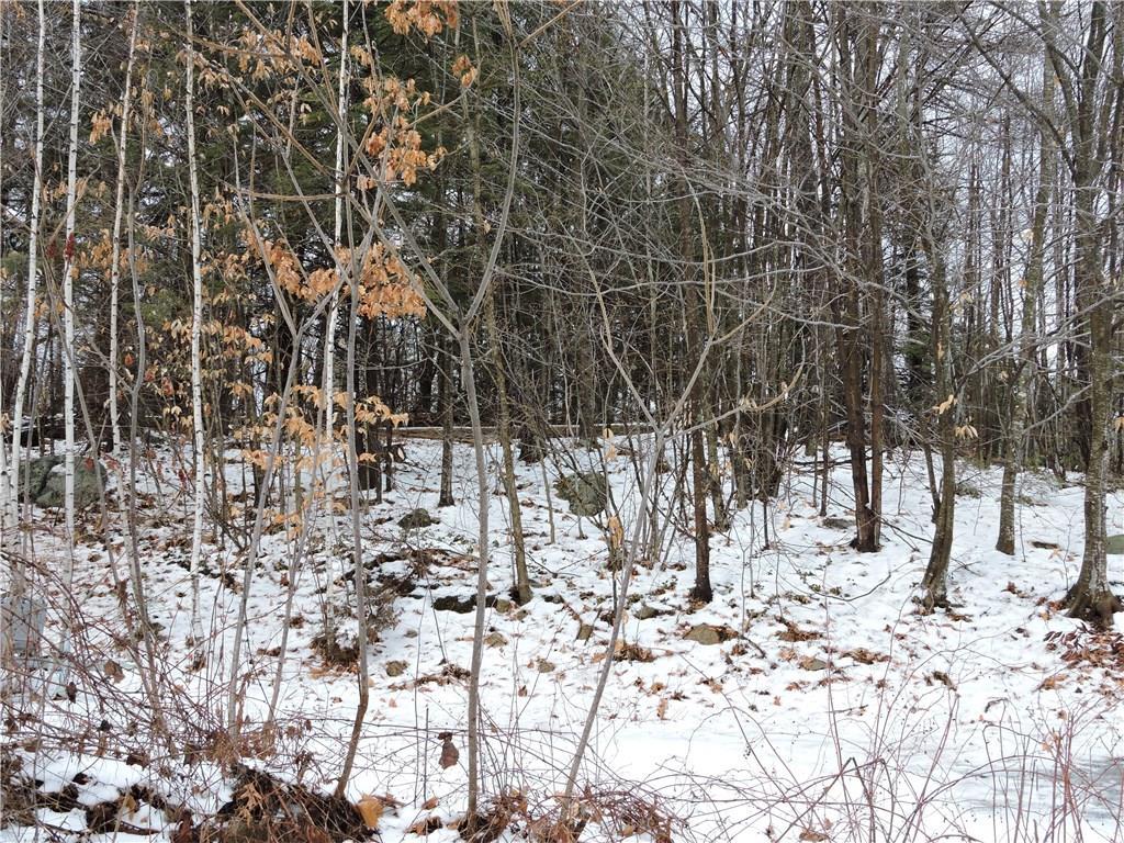 0 Swans Road Raymond, ME 04071 - Photo 5 of 18 Photo