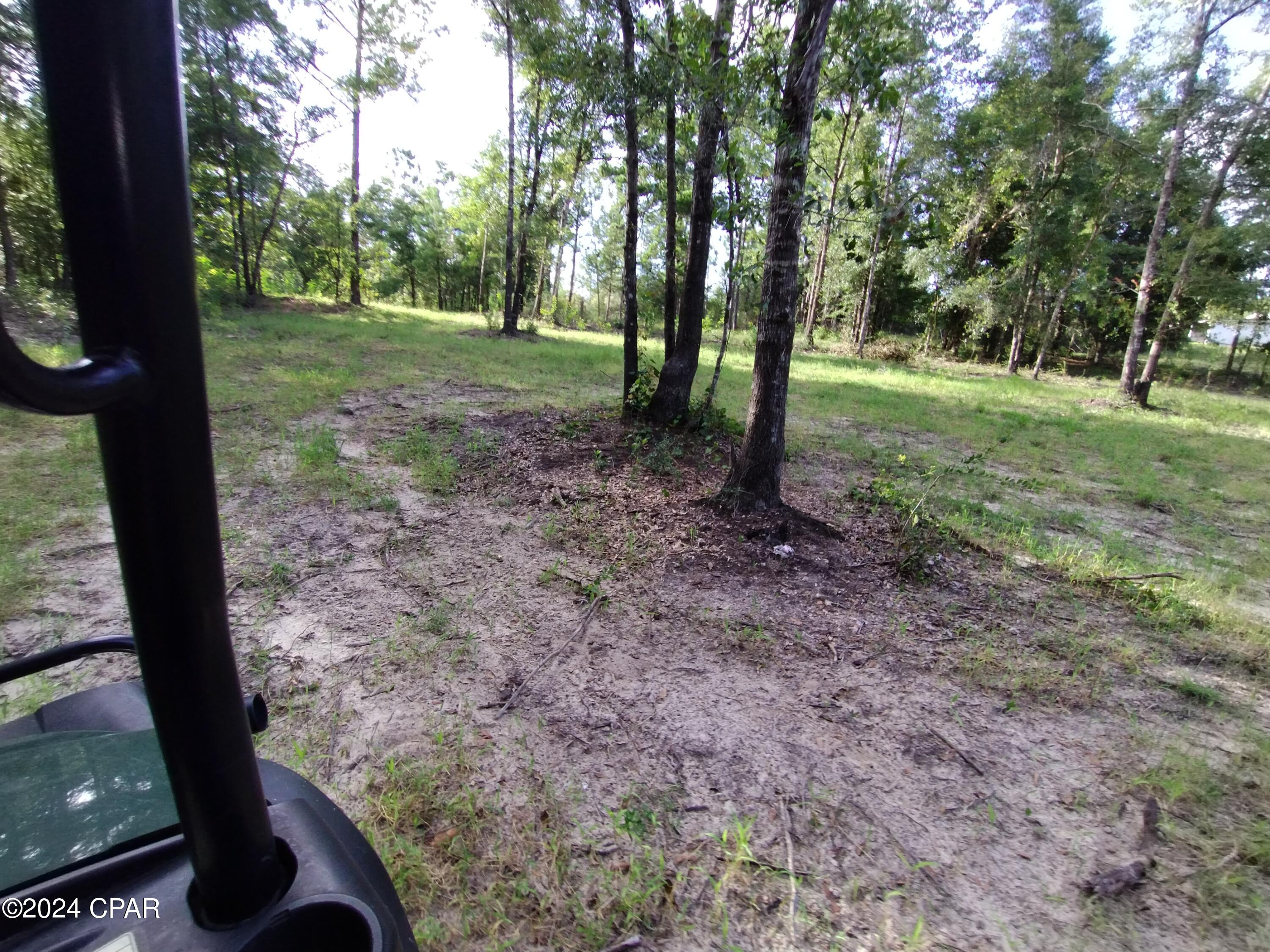 3773 Pine Log Road Chipley, FL 32428 - Photo 14 of 22