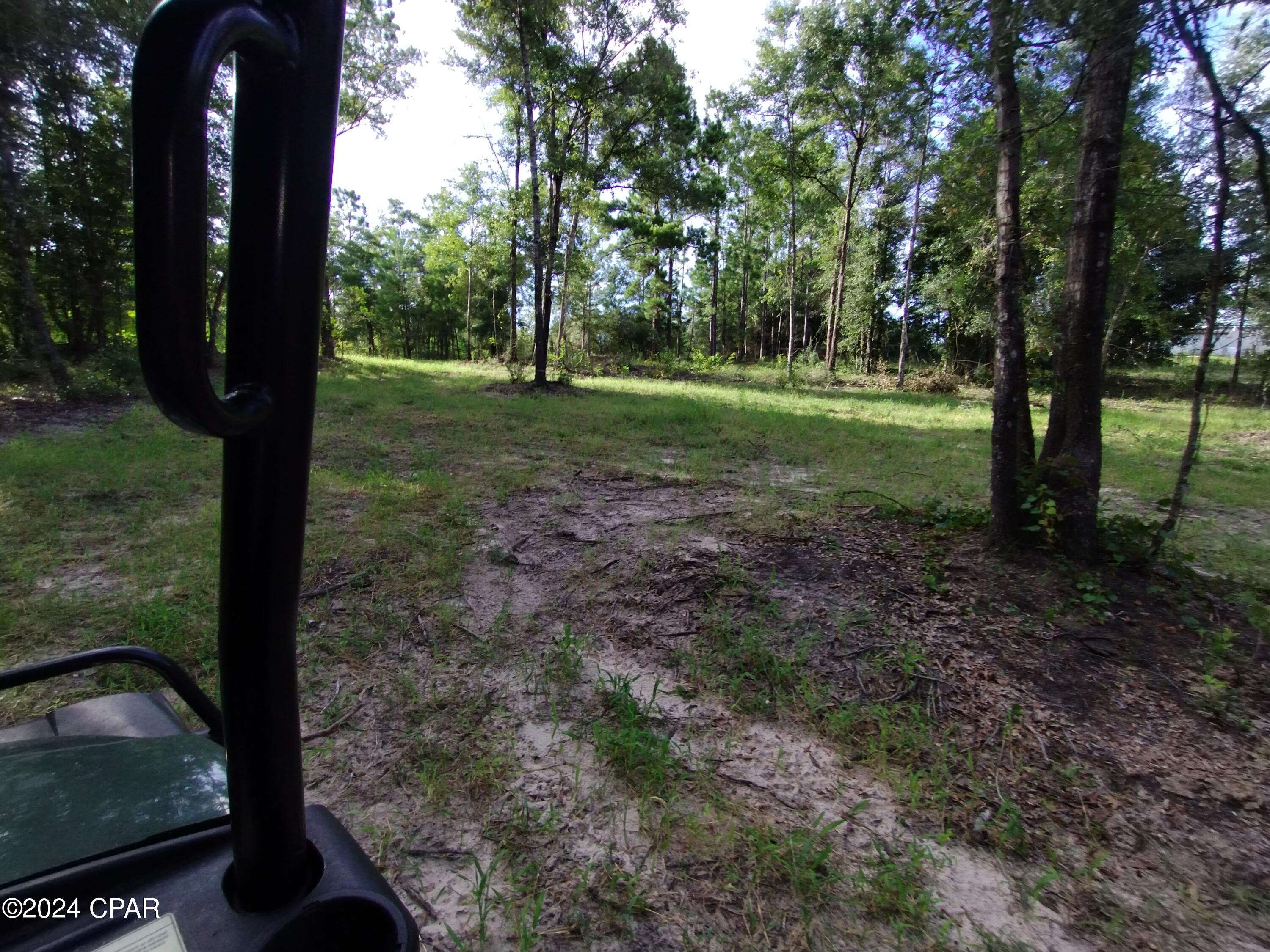 3773 Pine Log Road Chipley, FL 32428 - Photo 15 of 22