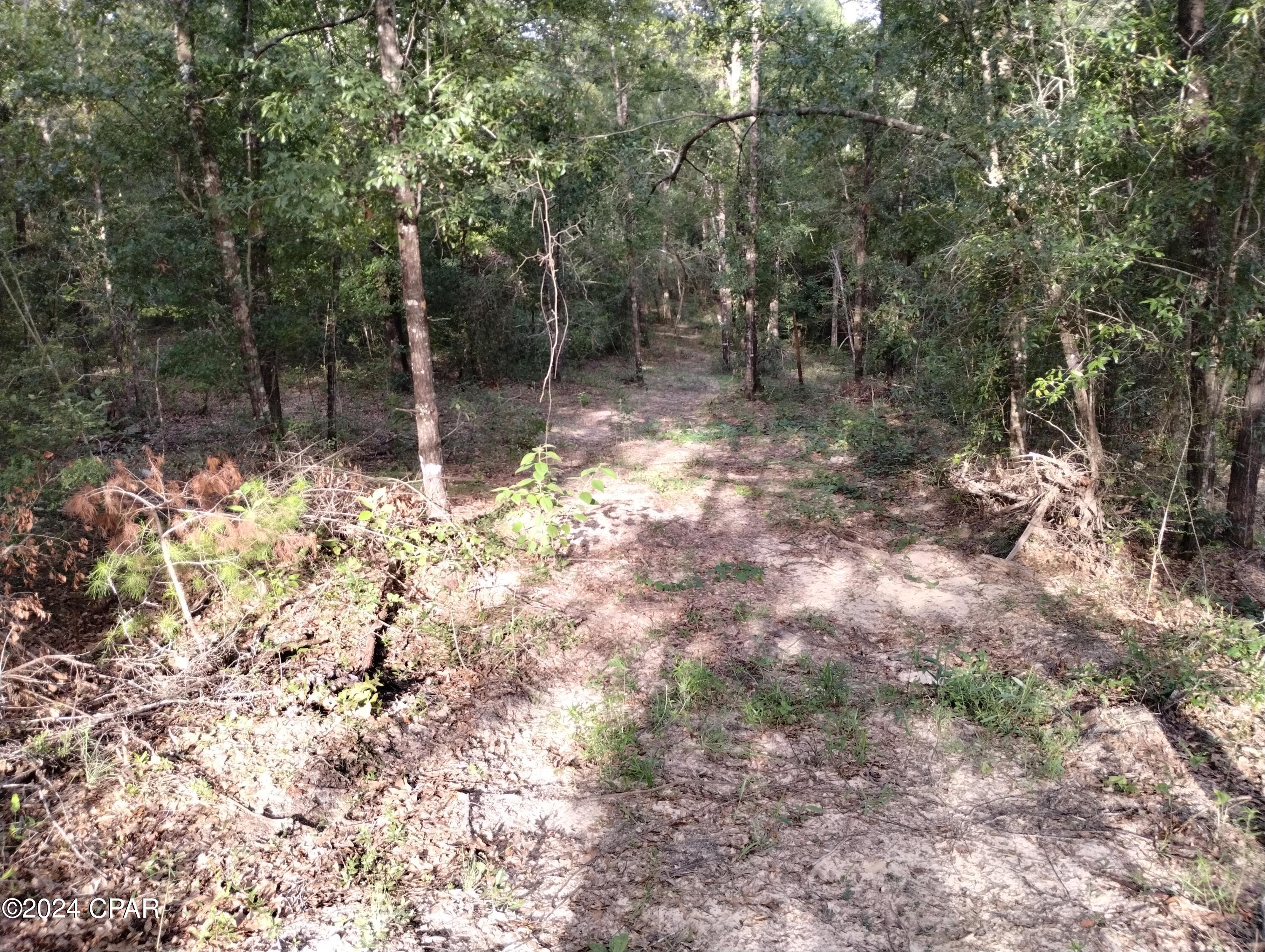 3773 Pine Log Road Chipley, FL 32428 - Photo 16 of 22