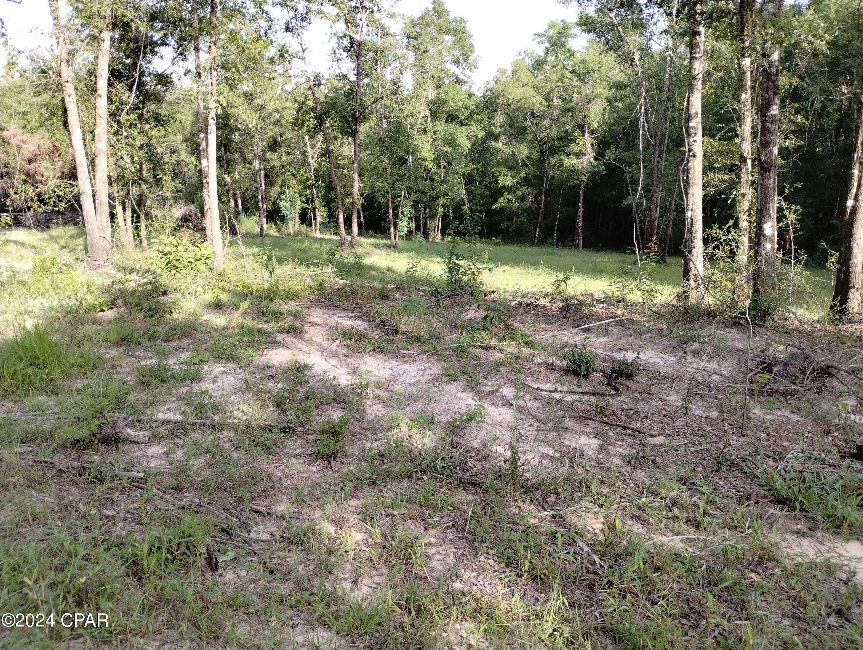 3773 Pine Log Road Chipley, FL 32428 - Photo 17 of 22