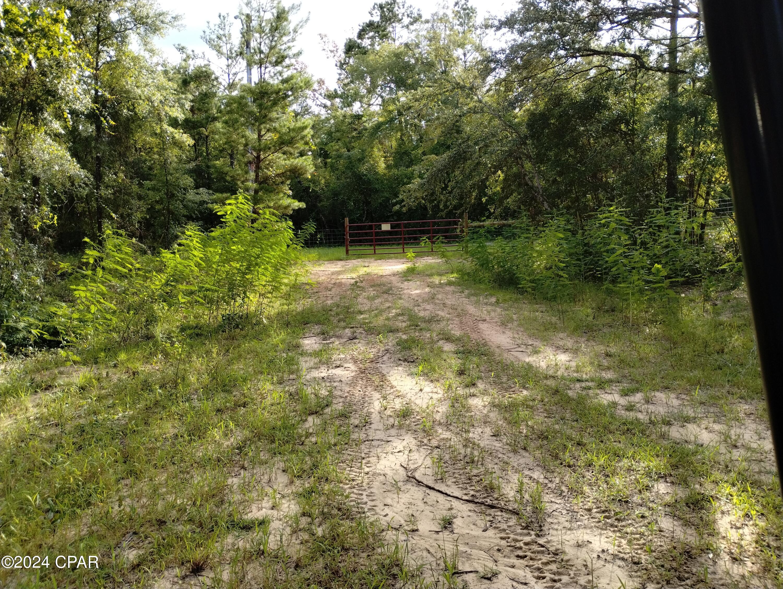 3773 Pine Log Road Chipley, FL 32428 - Photo 18 of 22