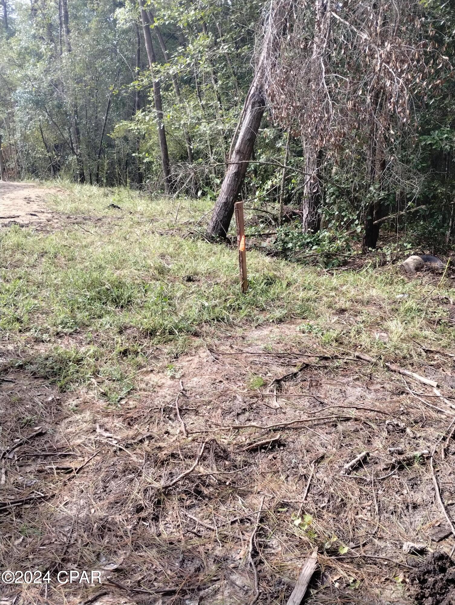 3773 Pine Log Road Chipley, FL 32428 - Photo 19 of 22